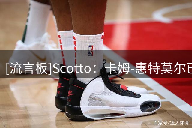 [流言板]Scotto：卡姆-惠特莫尔已经被骑士正式裁掉